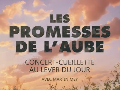 les promesses de l'aube