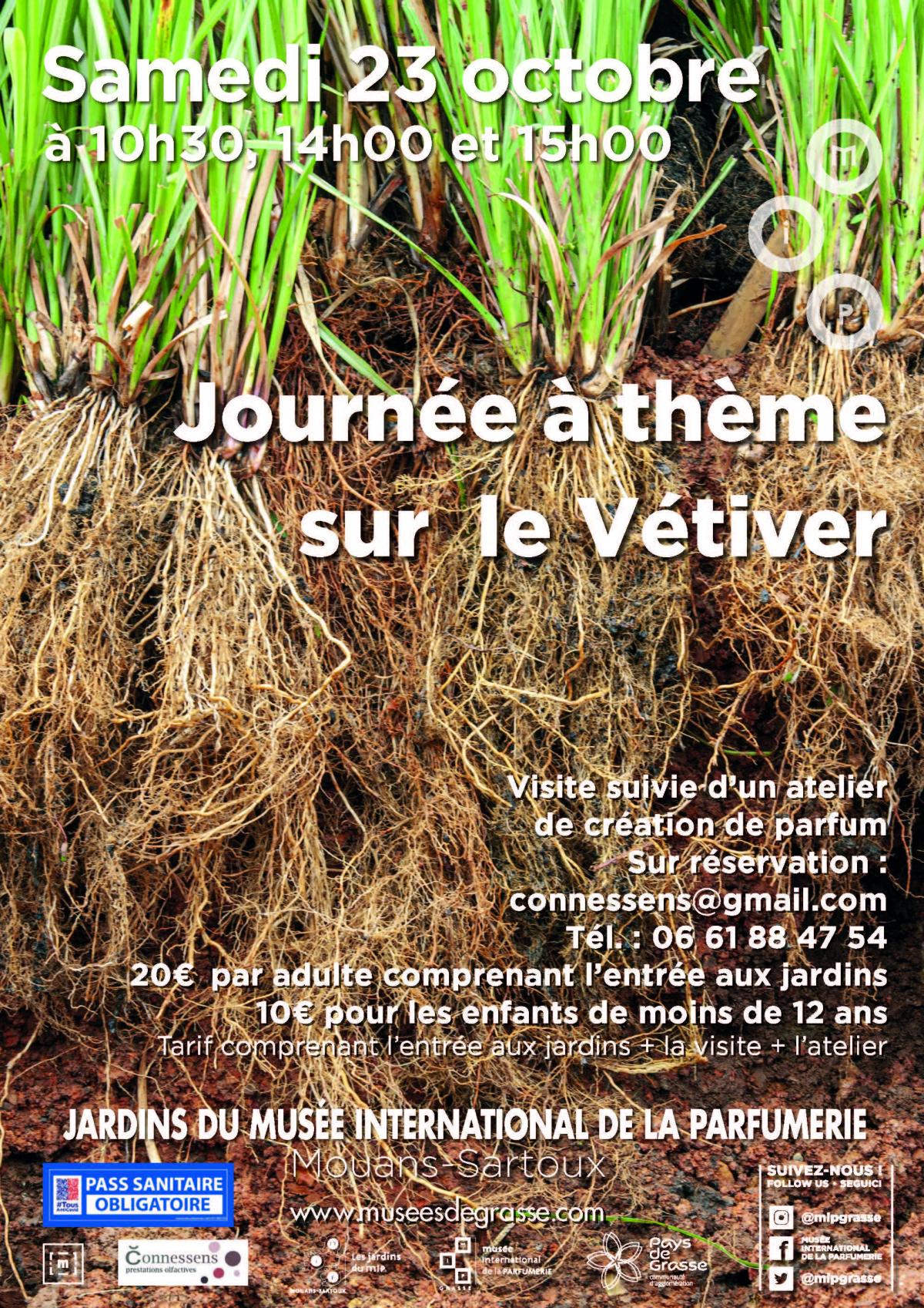 A LA RENCONTRE DU VETIVER - Actualités - Rivière Salée