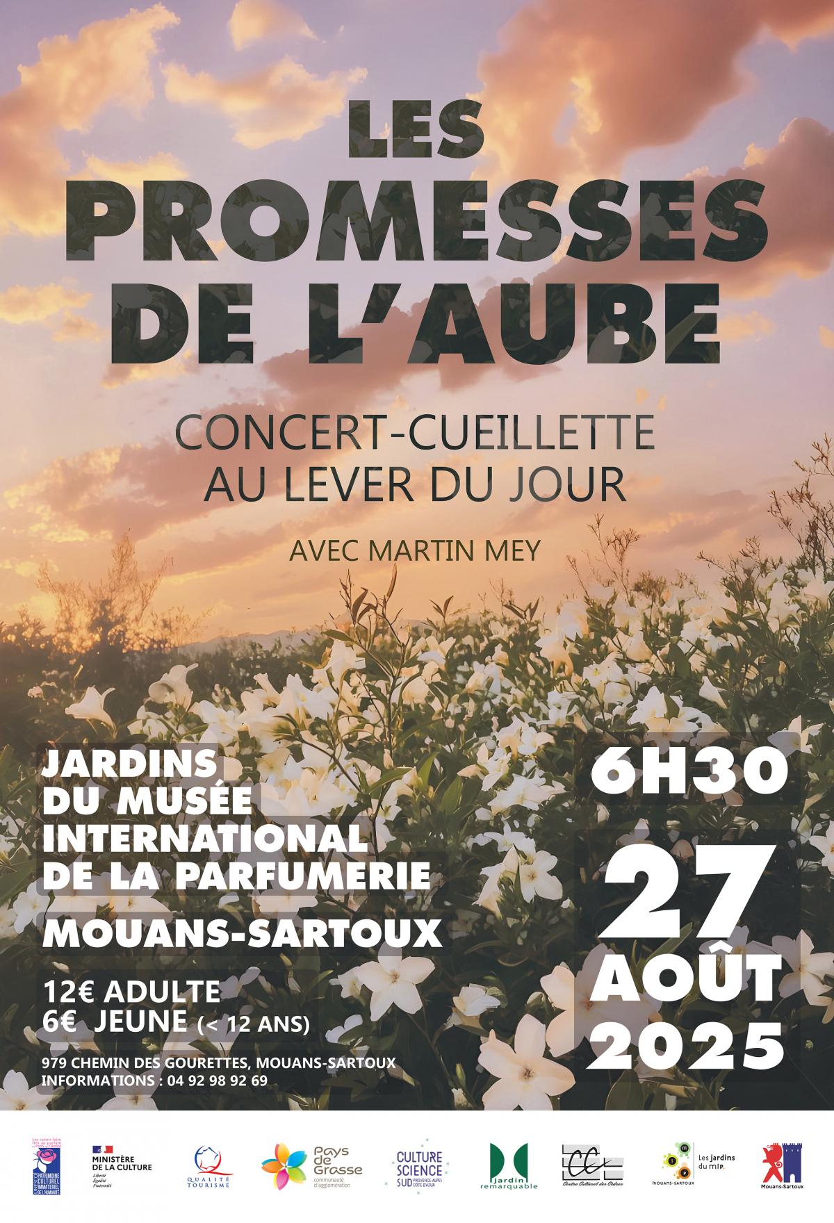 les promesses de l'aube