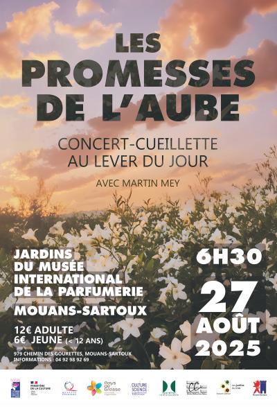 les promesses de l'aube