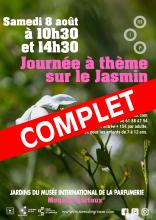 jasmin