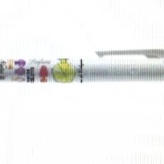 STYLO BIC